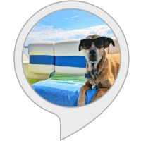 Dog Summer Safety Tips Alexa Skill